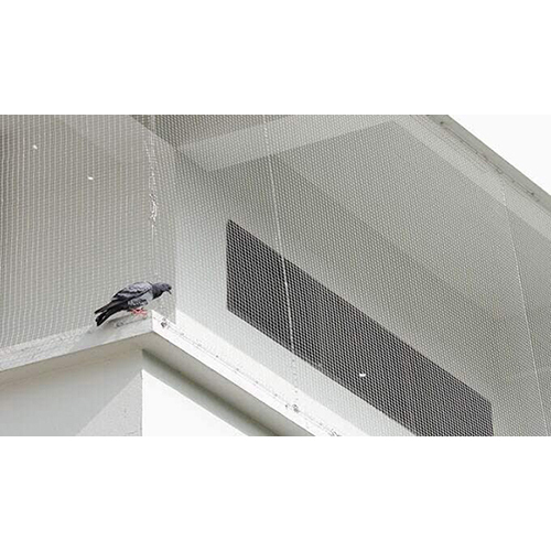 Pigeon Safety Net