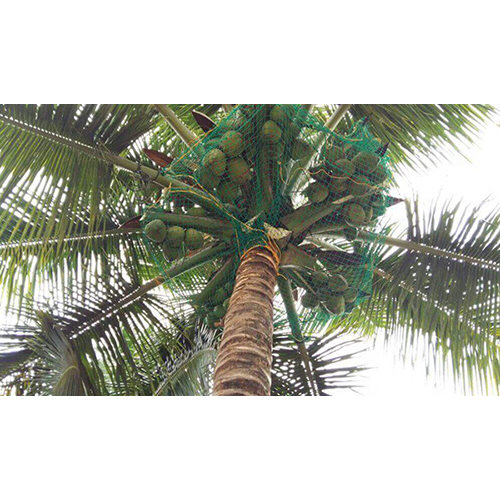 Coconut Safety Net