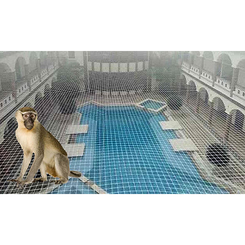Monkeys Safety Net