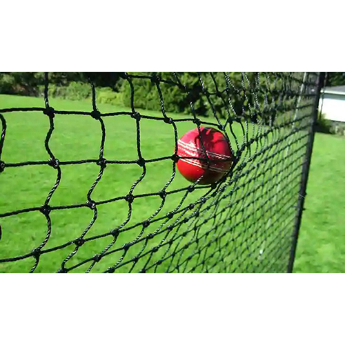 Sports Safety Net - Application: Cricket Practice