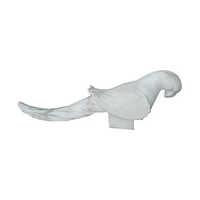 Marble Bird Sculpture - Premium Quality Polished 2 Feet, Elegant Plain White Design For Home Decoration