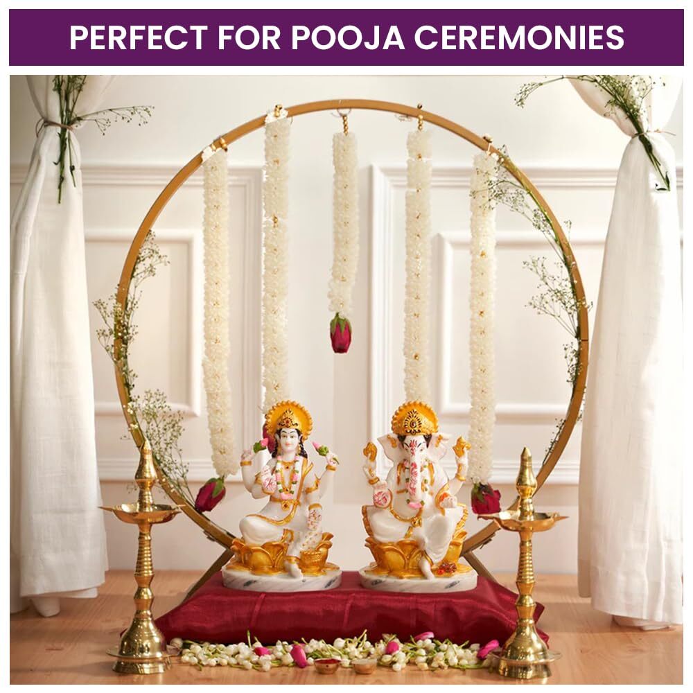 Circular Backdrop Stand for Decoration Diwali Pooja Festival Decoration Metal Photo Background Support
