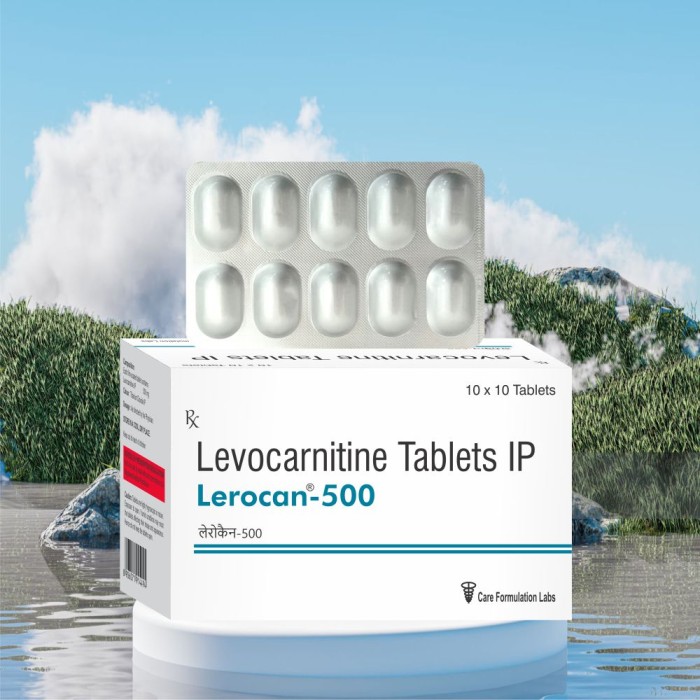 Levocarnitine IP  500 mg tablet