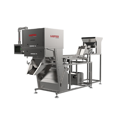 Single Belt Color Sorter Frozen Corn - Accuracy: 99  %
