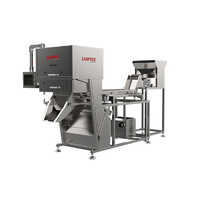 Single belt Color sorter Frozen Peas