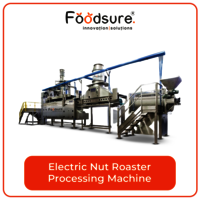 Electric nut roaster