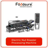 Electric nut roaster