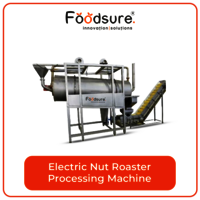 Electric nut roaster