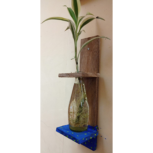 Indoor Plants Wall Mountain