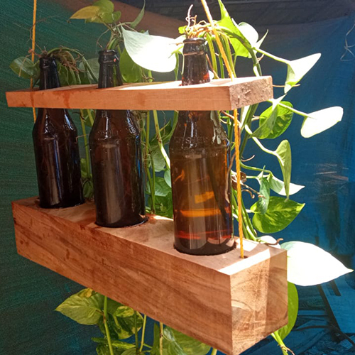 Indoor Plants