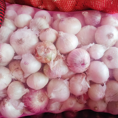 ताजा सफेद लहसुन - जक ट्रेडर्स