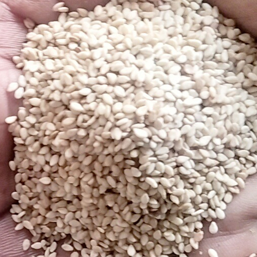 Sesame Seeds - 98% Purity, Nil Moisture, Fresh & Smooth Texture, Ideal for Baking and Toppings | Common Cultivation Type, 3-6 Months Shelf Life