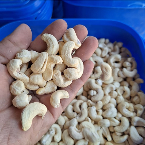 Cashew Nuts - Cultivation Type: Common