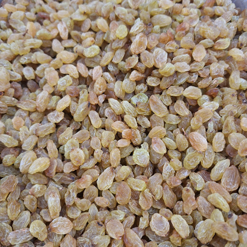 Indian Raisins - Cultivation Type: Common