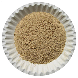 Garlic Powder