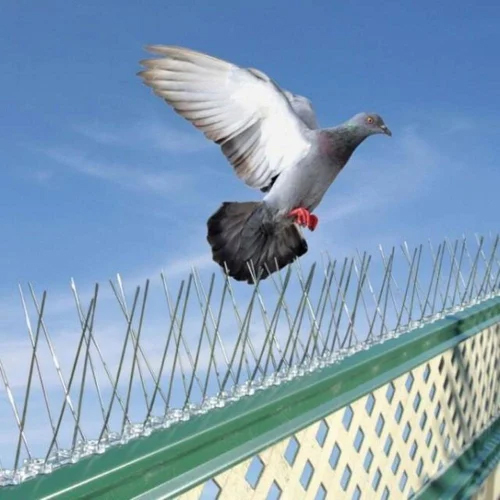 Bird Control Netting Service