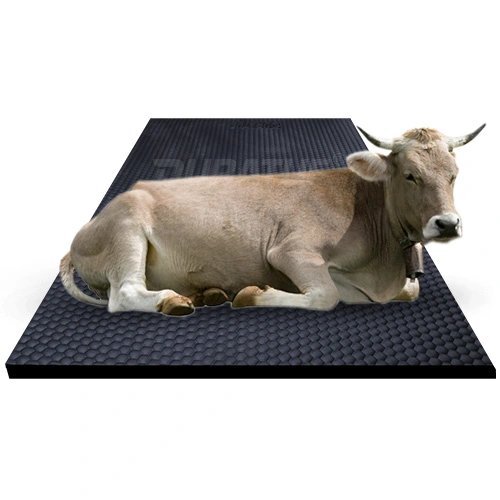 Durable Hexa Rubber Mats for Cow Stalls and Cattle Yards