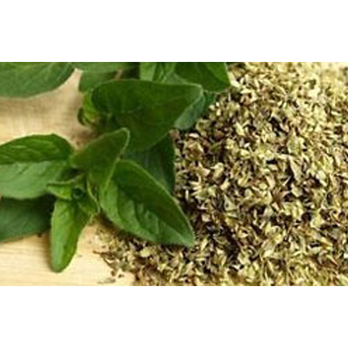 Dry Oregano - Color: Green