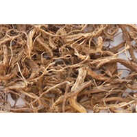 Coleus Root
