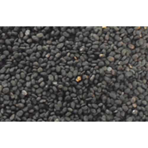 बाबची काला