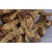 Salacia Root