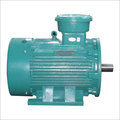 Low Voltage Electric Motor