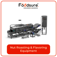 Nut roasting and flavoring equipment