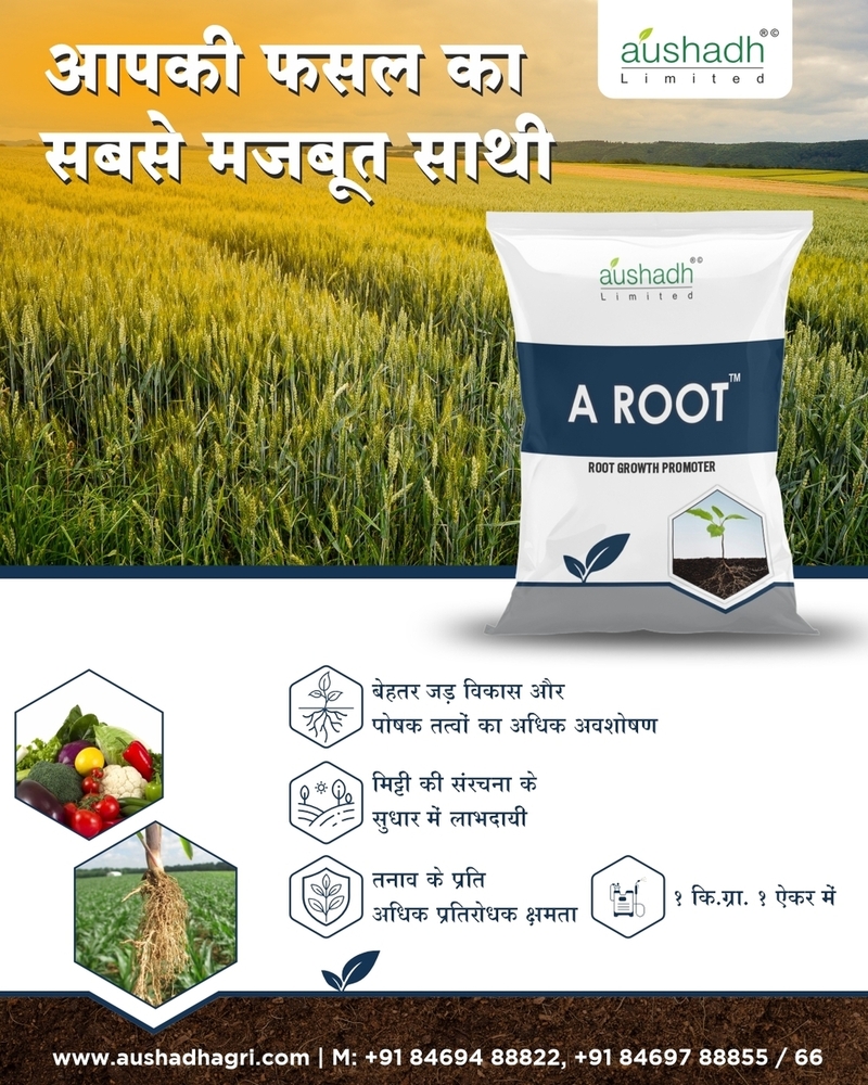 Vesicular Arbuscular Mycorrhiza - Application: Agriculture