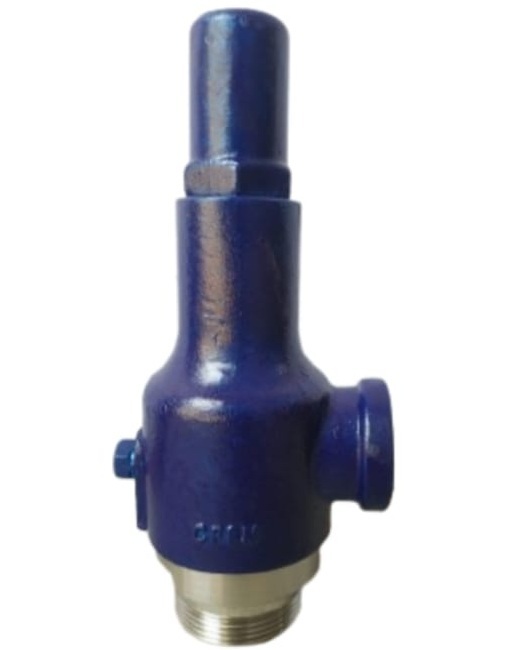 Screw End Pressure Safety Valve - Application: Oil