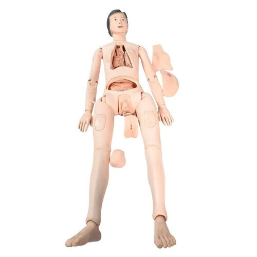 Advance Trauma Nursing Training Manikin Wholesaler in India