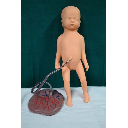 FEETUS WITH PLACENTA