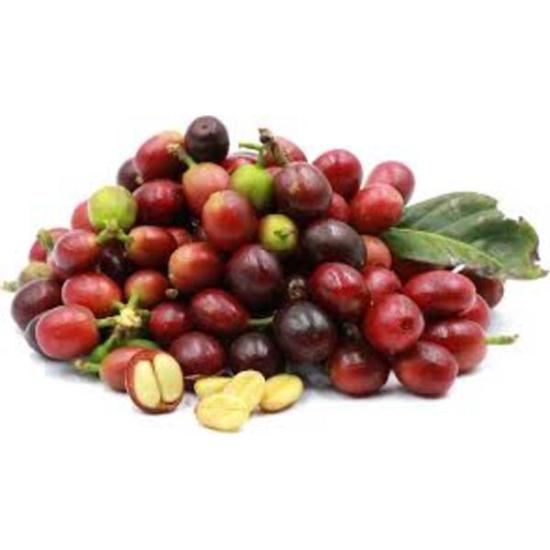 Coffee Berry Extract
