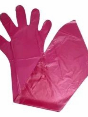 Veterinary Artificial Insemination A.I Gloves