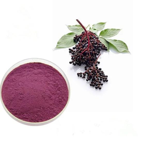 Black Elderberry Extract - Grade: Pharma & Food Grade