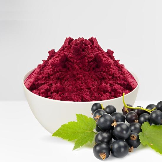 Black Currant Extract - Purity(%): 100%