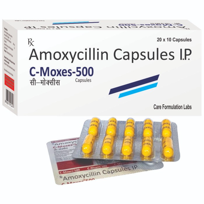 Amoxycillin (anhydrous) 500mg tablet
