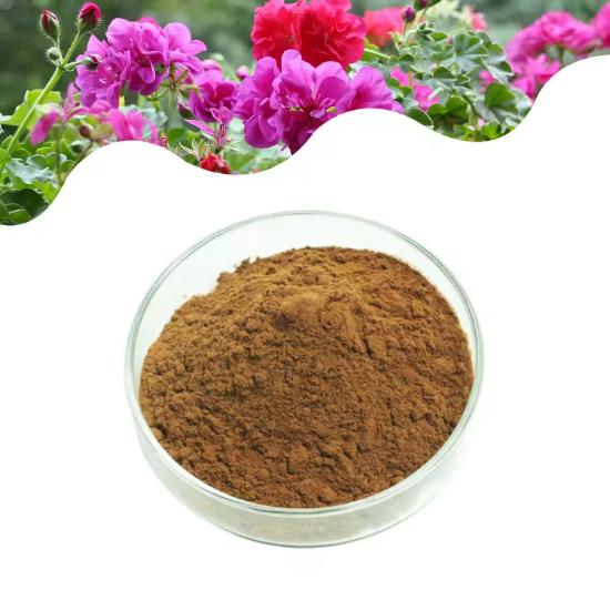 African Geranium Extract