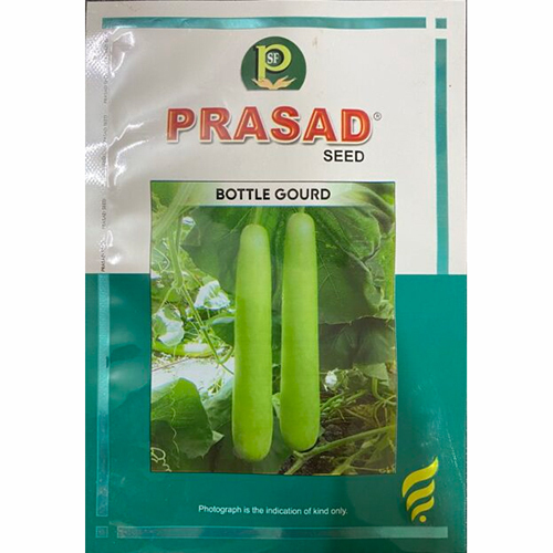 Bottle Gourd Seed