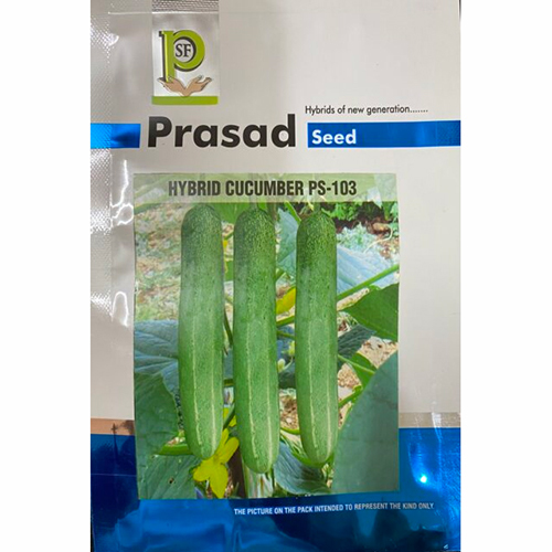 Ps-103 Hybrid Cucumber - Color: Green