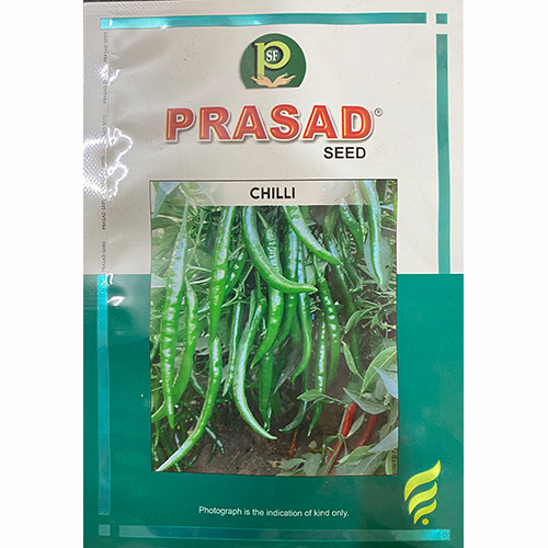 Chilli Seed - Color: Green