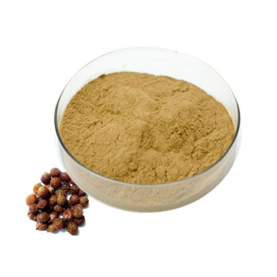 Soapnut Extract (Sapindus Mukorossi Extract) - Grade: Pharma & Food Grade