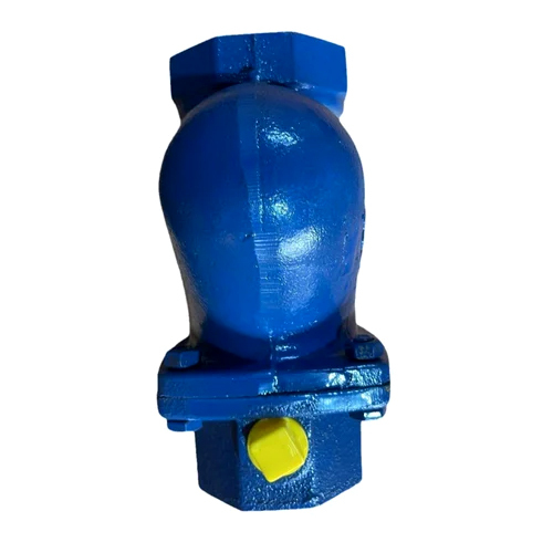 Cast Iron Non Return Valves - Color: Blue