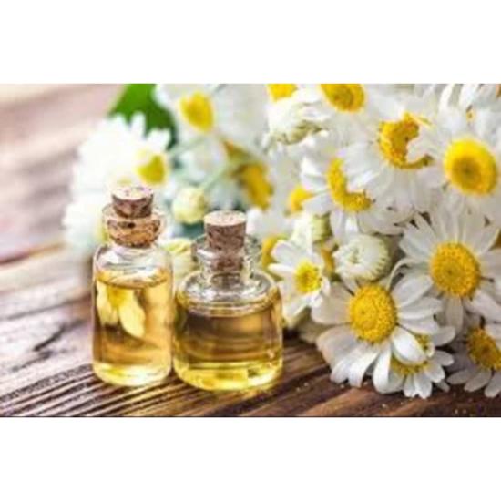 Roman Chamomile Extract (Chamaemelum Nobile)