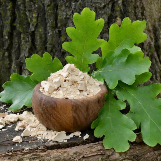 White Oak Extract (Quercus Alba) - Grade: Pharma & Food Grade