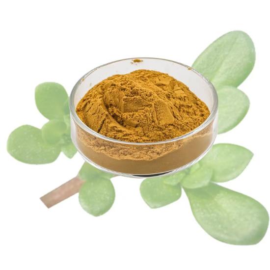 Portulaca Grandiflora Extract