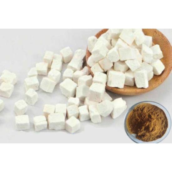 Poria Mushroom Extract (Wolfiporia Extensa)