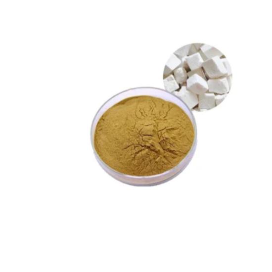 Poria Mushroom Extract (Wolfiporia Extensa)