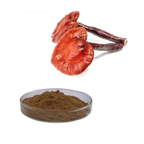 Red Reishi Mushroom Extract