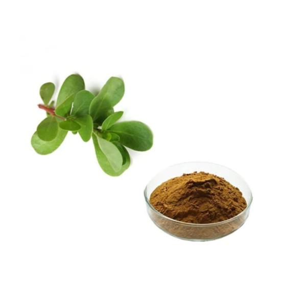 Khurfa Extract