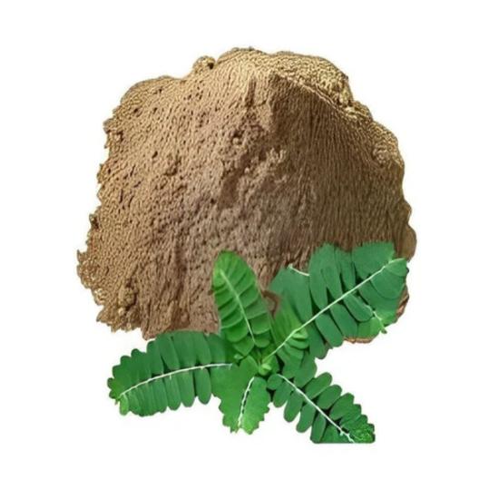 Phyllanthus Fraternus Extract